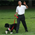 First Dogs: True Stories of Presidential Dogs