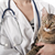 Can a Pain Management Centre Help Your Cat?