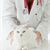 De-stress Veterinary Visits for Your Cat